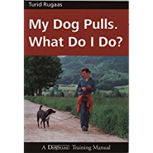 GOOD TIMES DOG TRAINING–BOOK  SUGGESTIONS