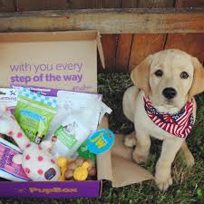 pupbox subscription for puppies